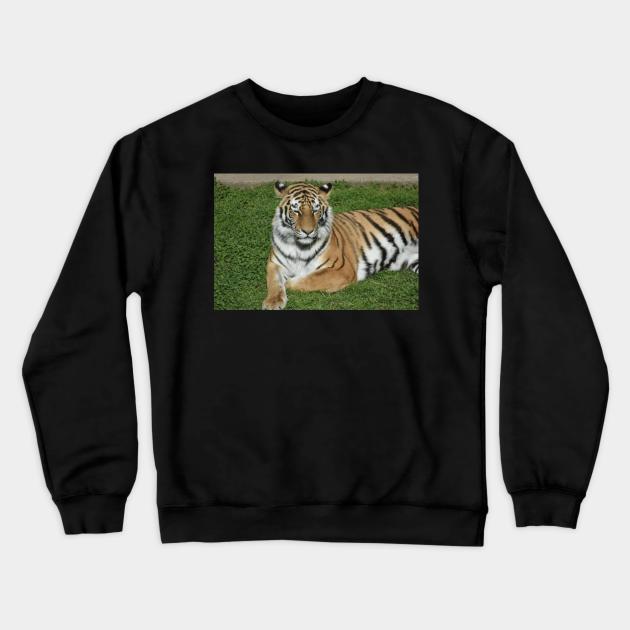 Tiger Crewneck Sweatshirt by MarieDarcy